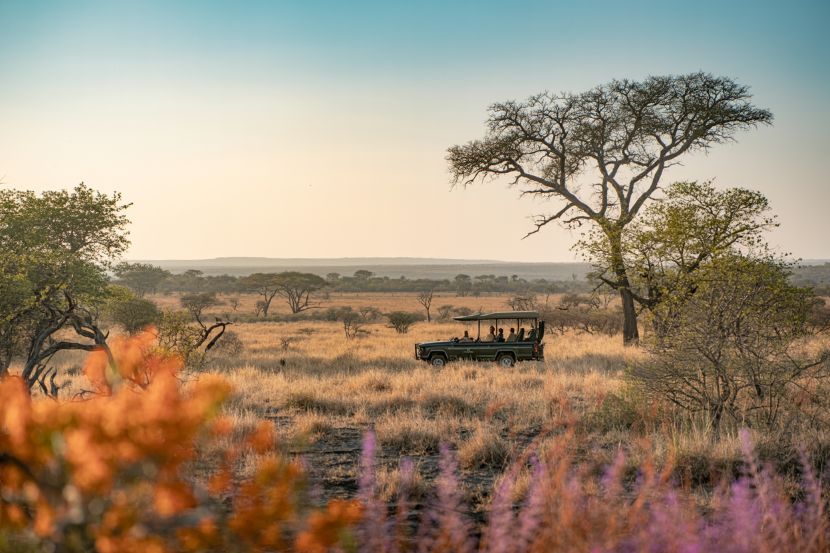 Best of Cape Town & Welgevonden Game Reserve